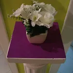 Apartamento La Casa Dei Gerani Roma