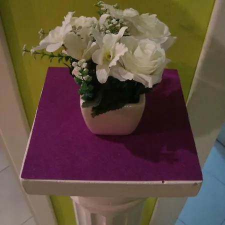 Апартаменты La Casa Dei Gerani Рим